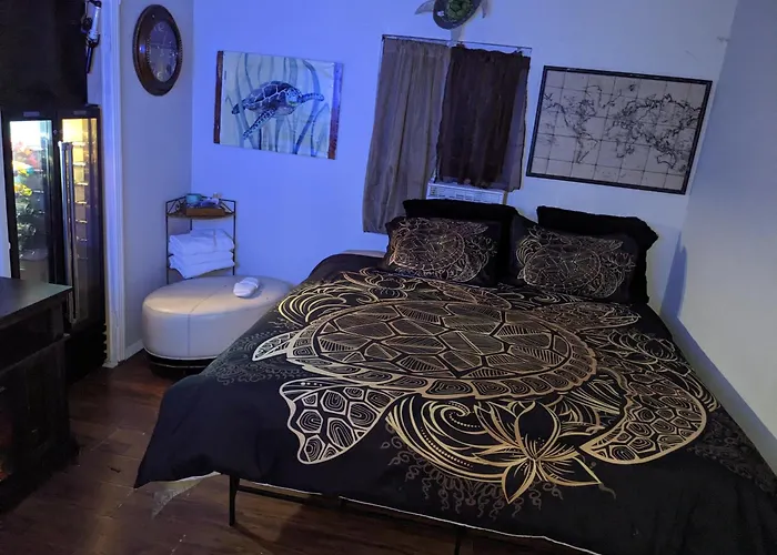 Turtle\'S Room