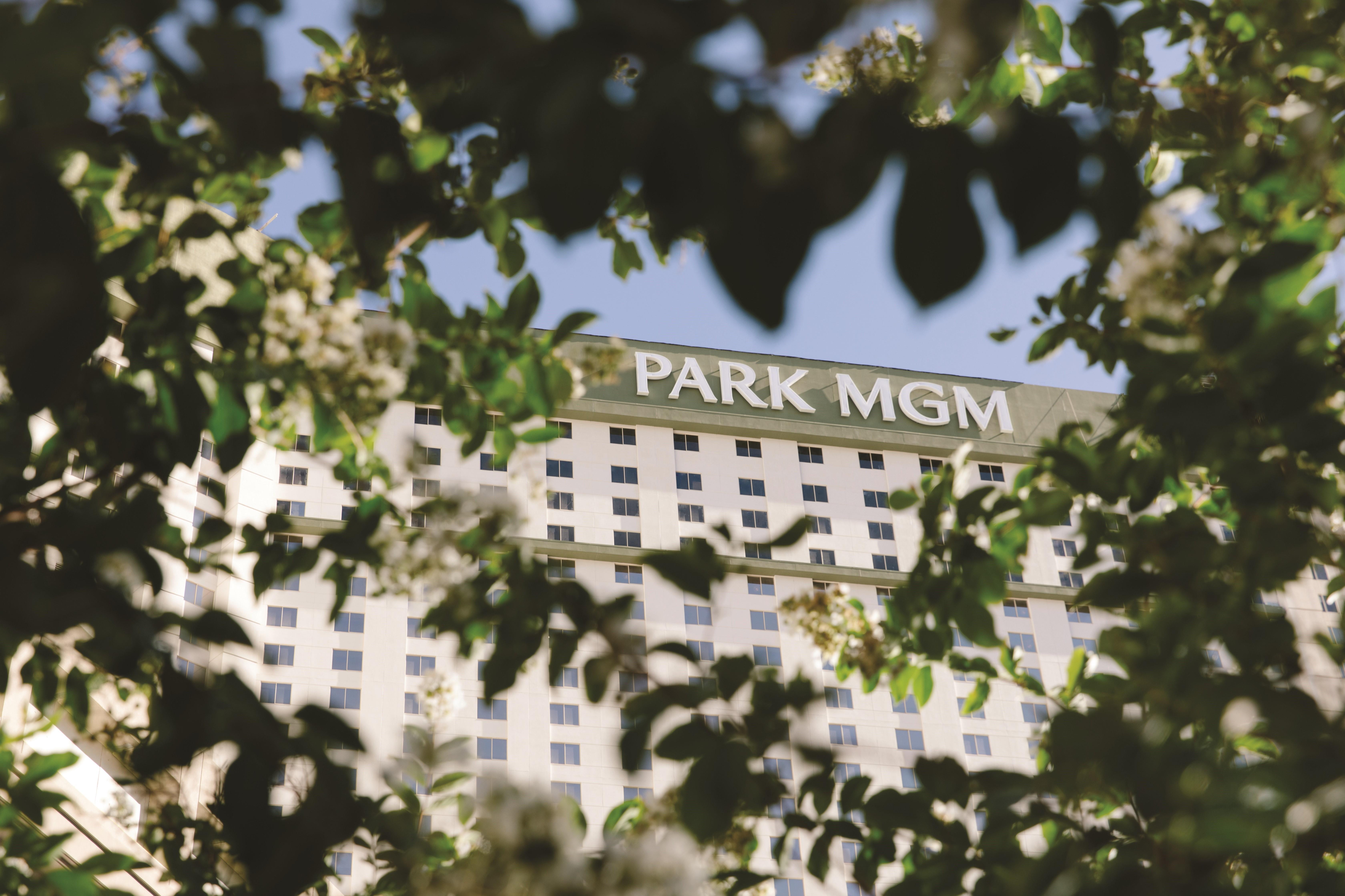 Resort Park Mgm Vegas