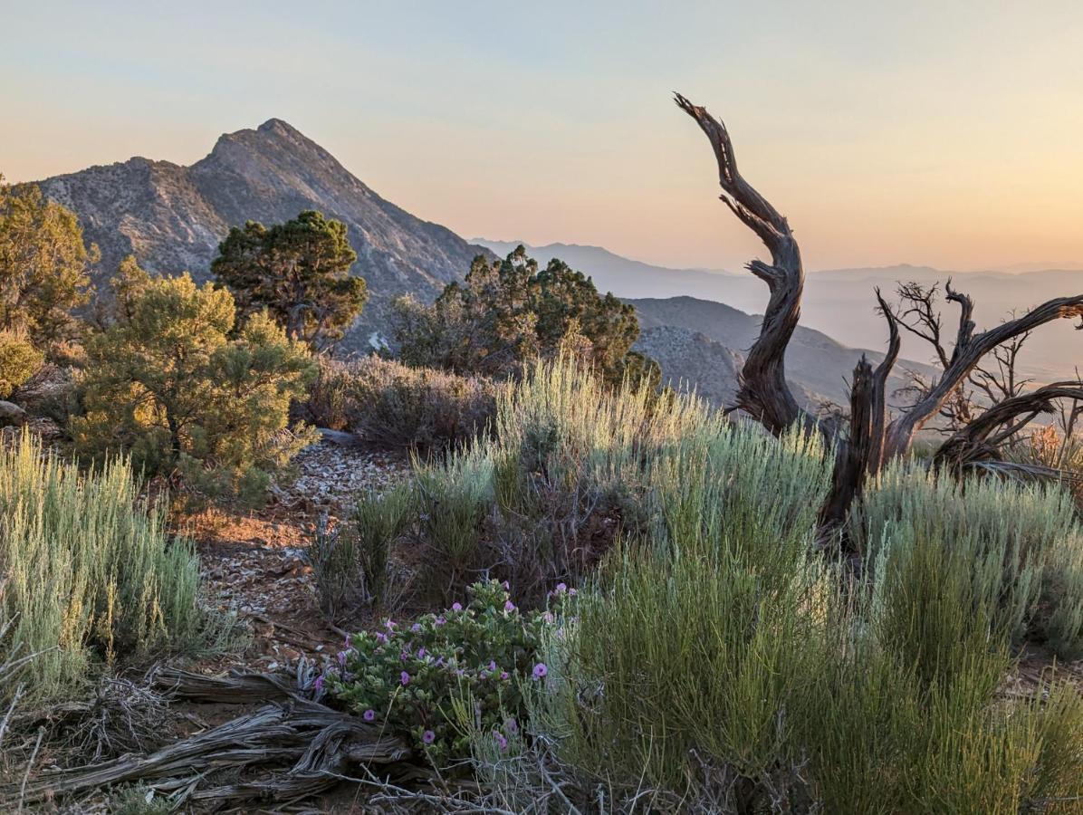Wild Sage Camp Ferienhaus