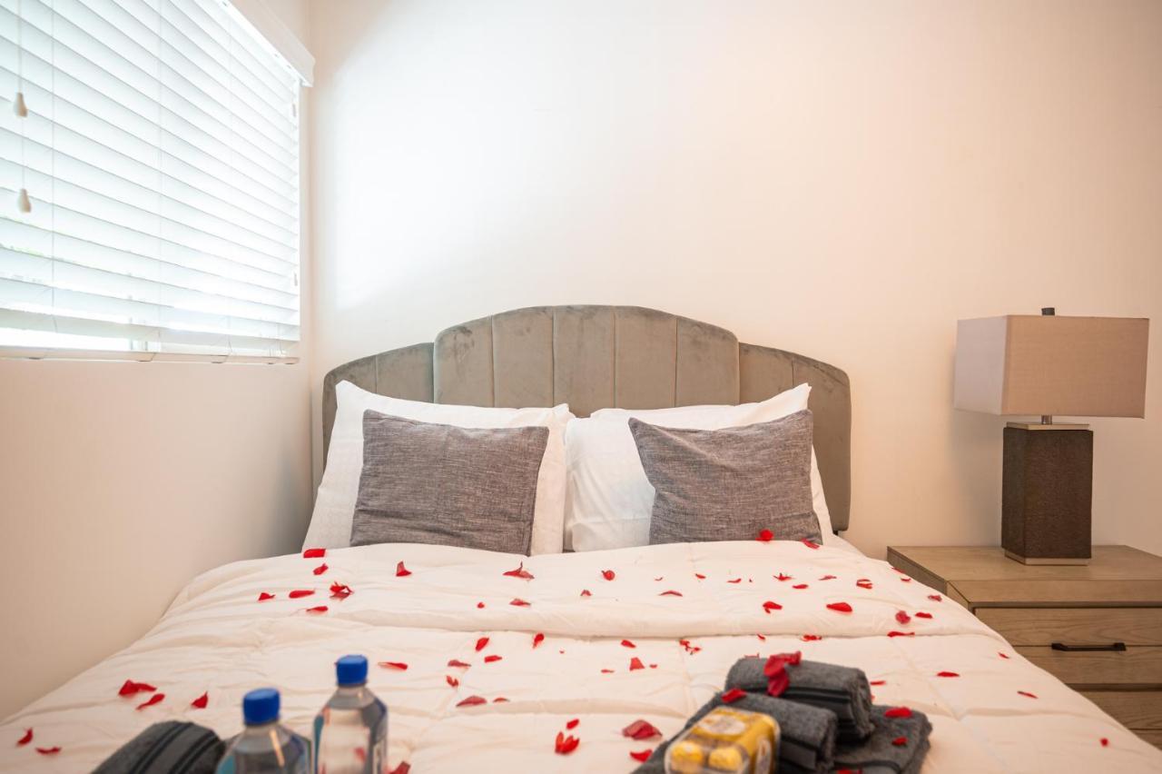 Apartment Brand New Home- Center Location *