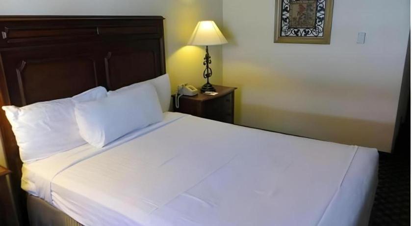 El Cortez & Casino - 21 And Over Only (adults Only) 3* Las Vegas