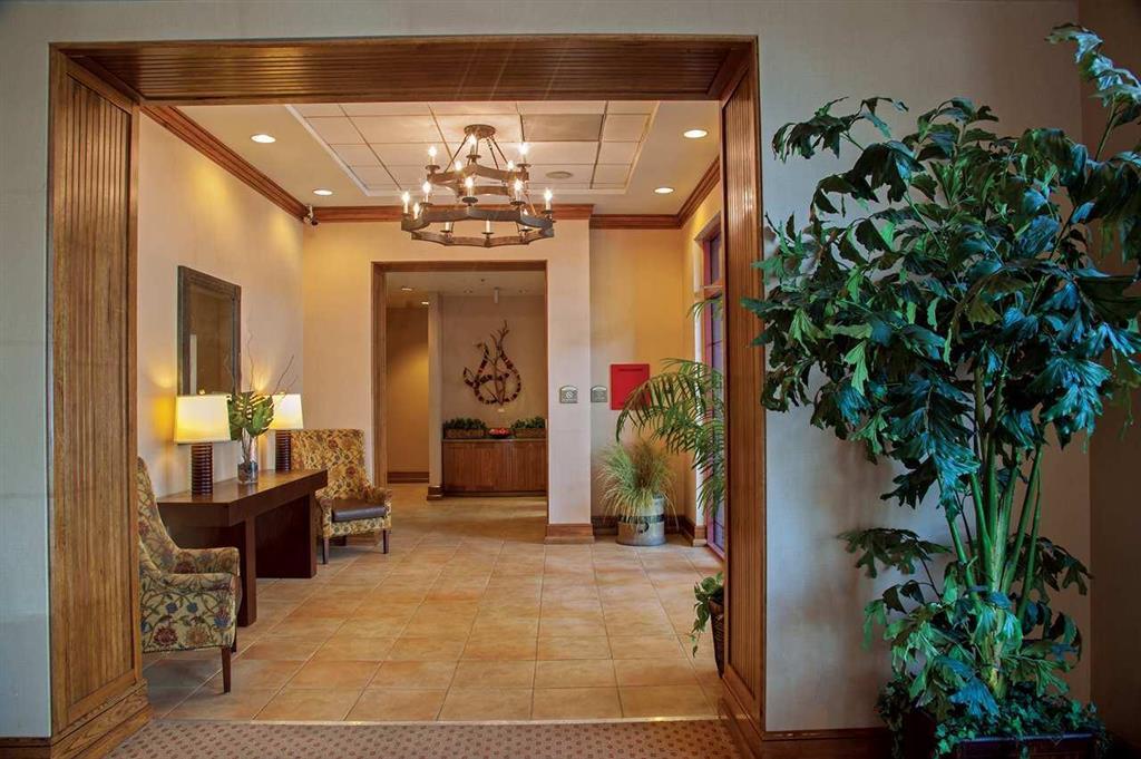 Hotel Hampton Tropicana 3*