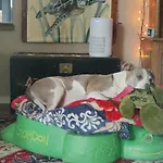 Turtle\'S Room