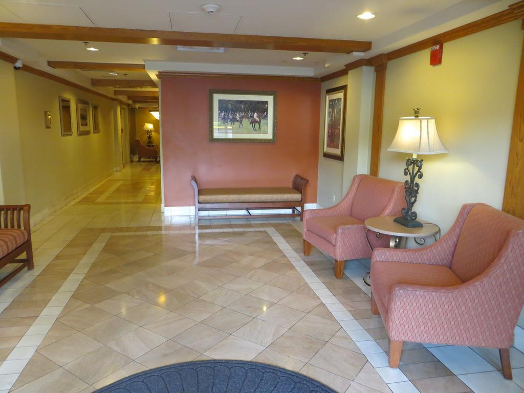 Jockey Center Strip