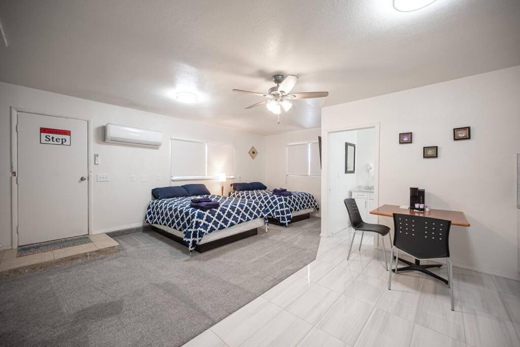 5 Large Studio With Full Kitchen, Laundry And Bath Apartment