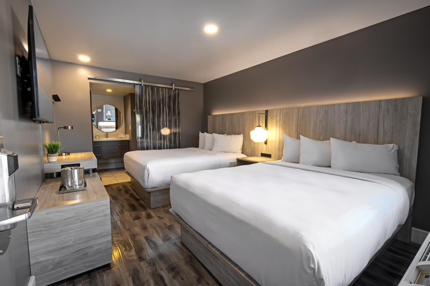 Hotel Oasis At Gold Spike (adults Only)