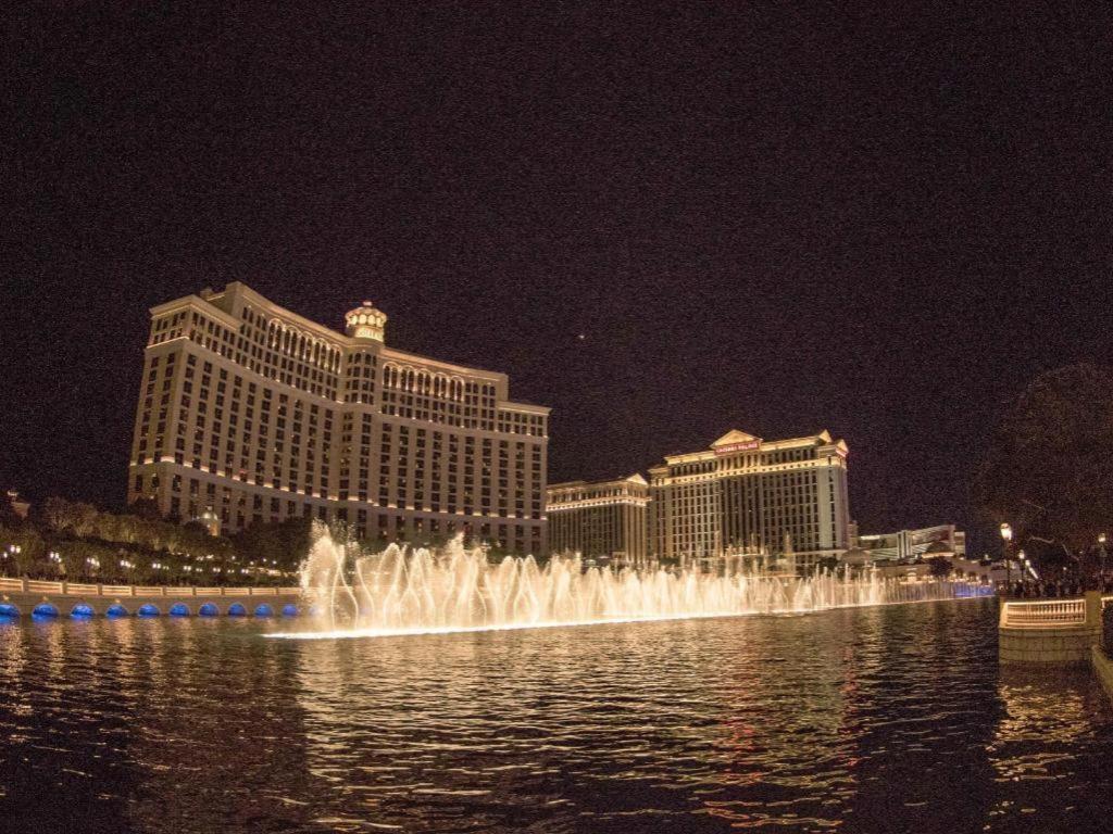 Gold Coast And Casino
