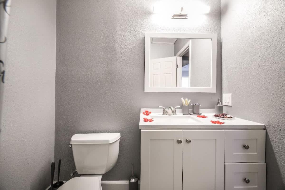 Urban Oasis Huge Unit Private Entry Apartment