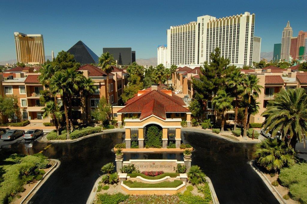 Desert Rose Resort