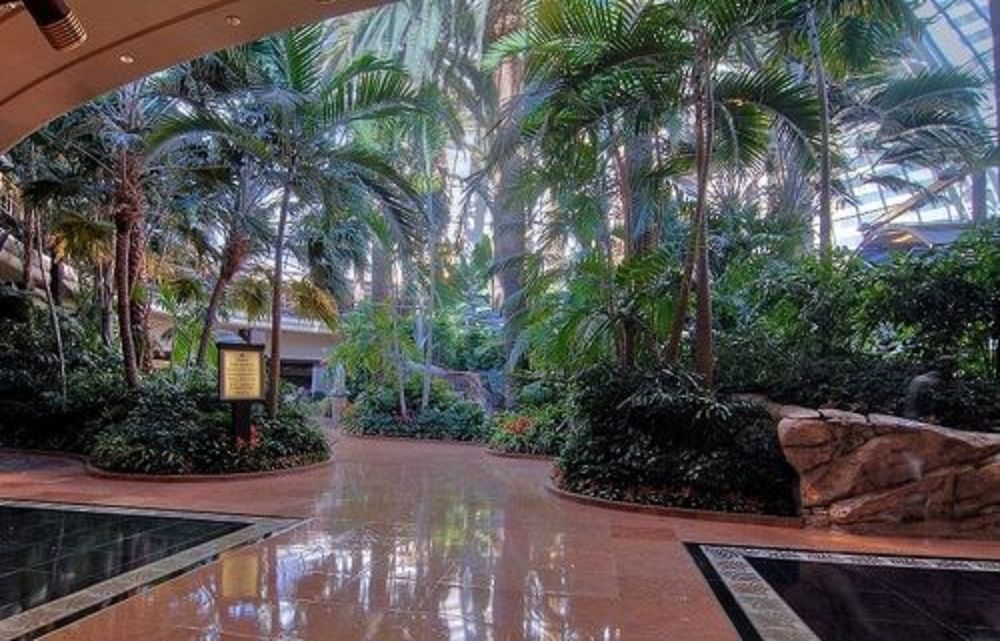 The Mirage 4*