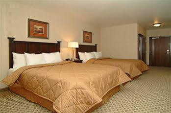 Comfort & Henderson - Vegas Las Vegas