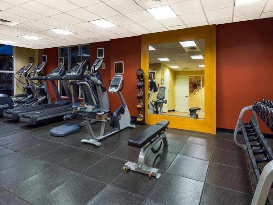 Resort Hilton Grand Vacations Club Flamingo Vegas Las Vegas
