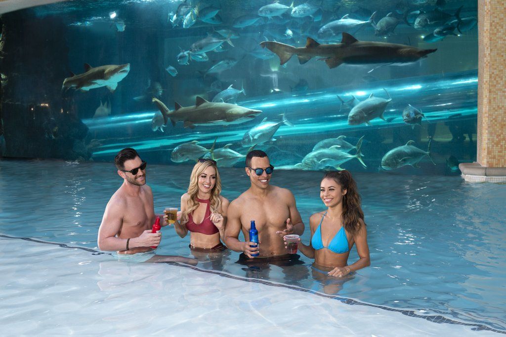 Resort Golden Nugget & Casino Vegas