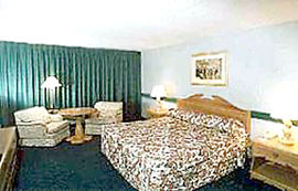 Golden Palm Hotel
