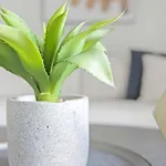 Landing Modern Apartment With Amazing Amenities