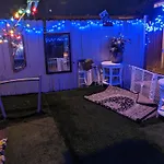 Turtle\'S Room