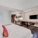 Palms 16304 Studio