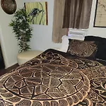 Turtles Place