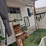 Turtles Place