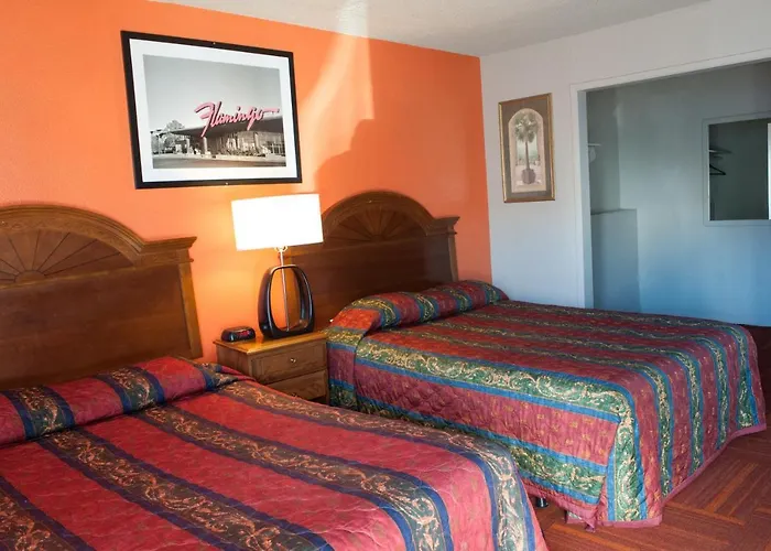 Motel 8 Plus
