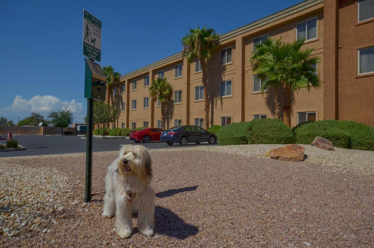 Express Vegas-nellis By Ihg 3*