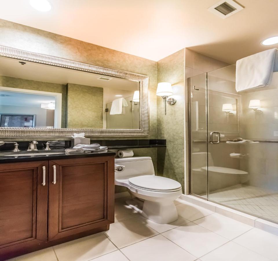 1br Penthouse-stripview-free Parkin-no Fees Apartment