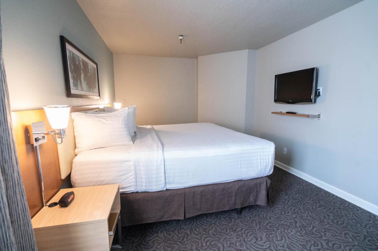 Hotel Alexis Park
