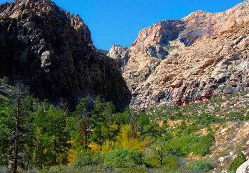 By Marriott Vegas Hughes Center Hotel 3*