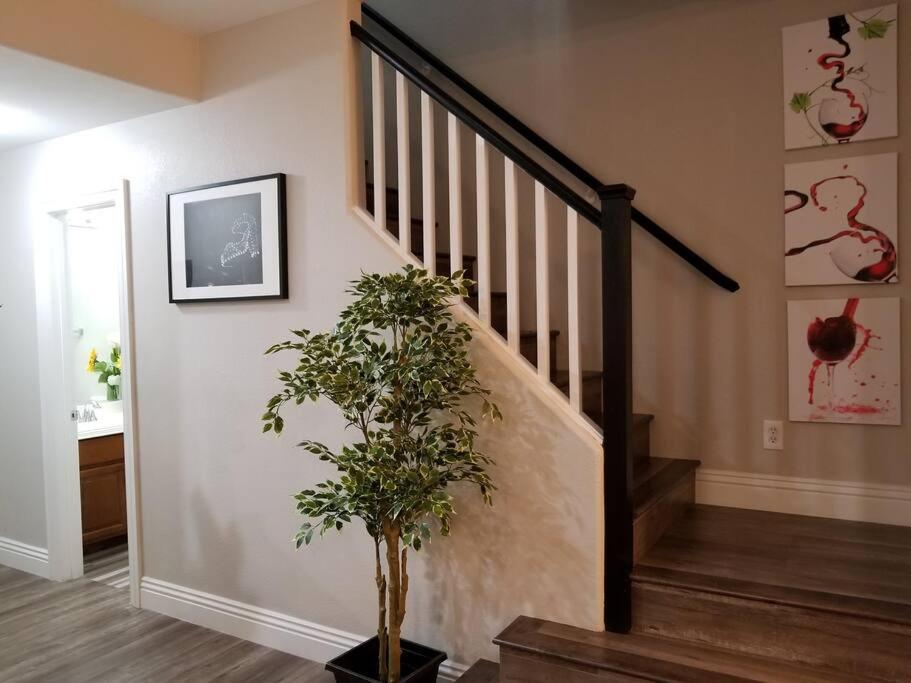 A - Fully Remodeled And Professionally Decorated Apartment *