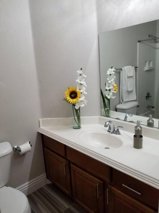 A - Fully Remodeled And Professionally Decorated Apartment *