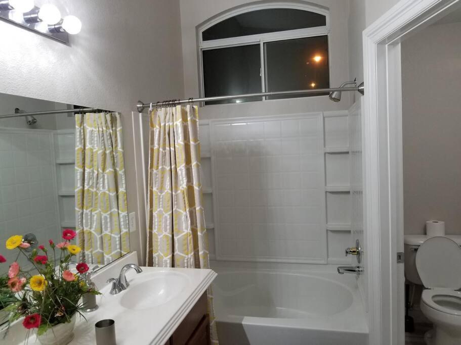A - Fully Remodeled And Professionally Decorated Apartment *