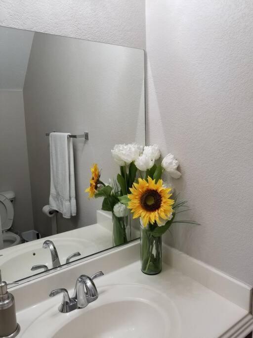 Apartment A - Fully Remodeled And Professionally Decorated *
