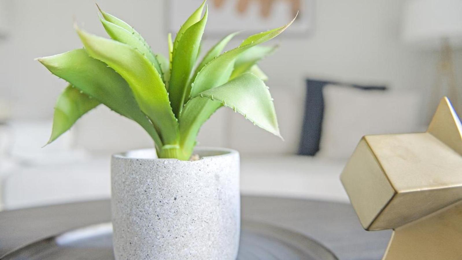 Apartment Landing Modern With Amazing Amenities