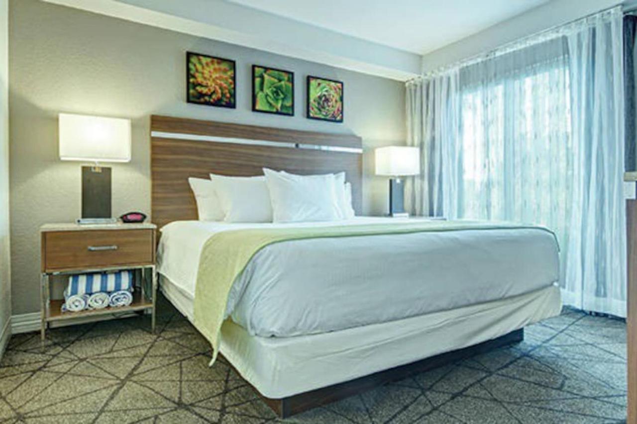 Beautiful In Desert Rose - 1bd Sleeps Holiday home Las Vegas