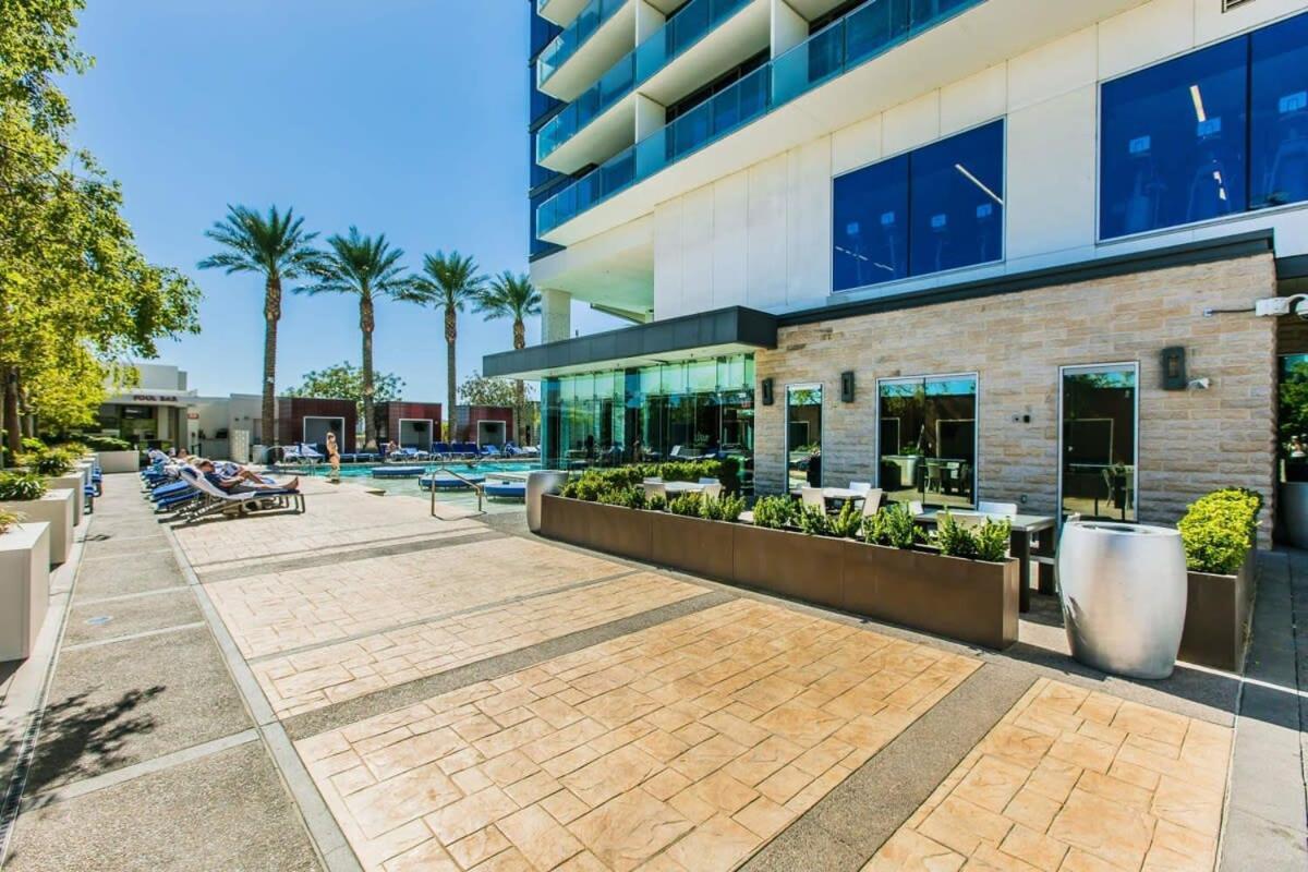 Palms 16304