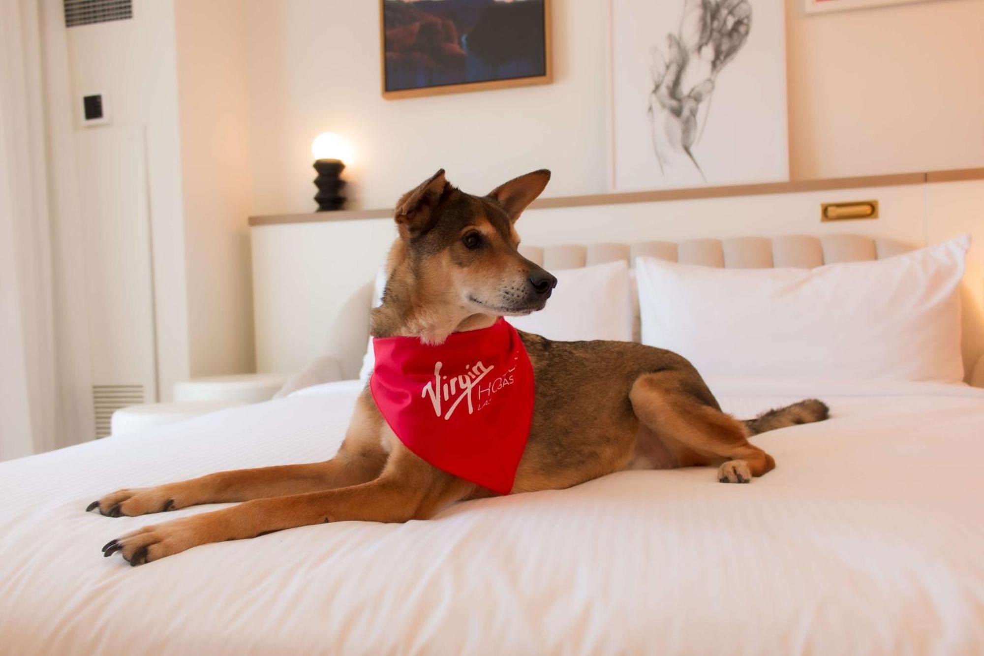 Virgin Vegas, Curio Collection By Hilton Las Vegas