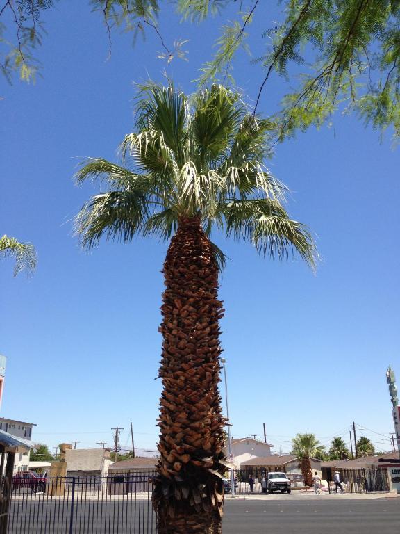 Sterling Gardens Las Vegas
