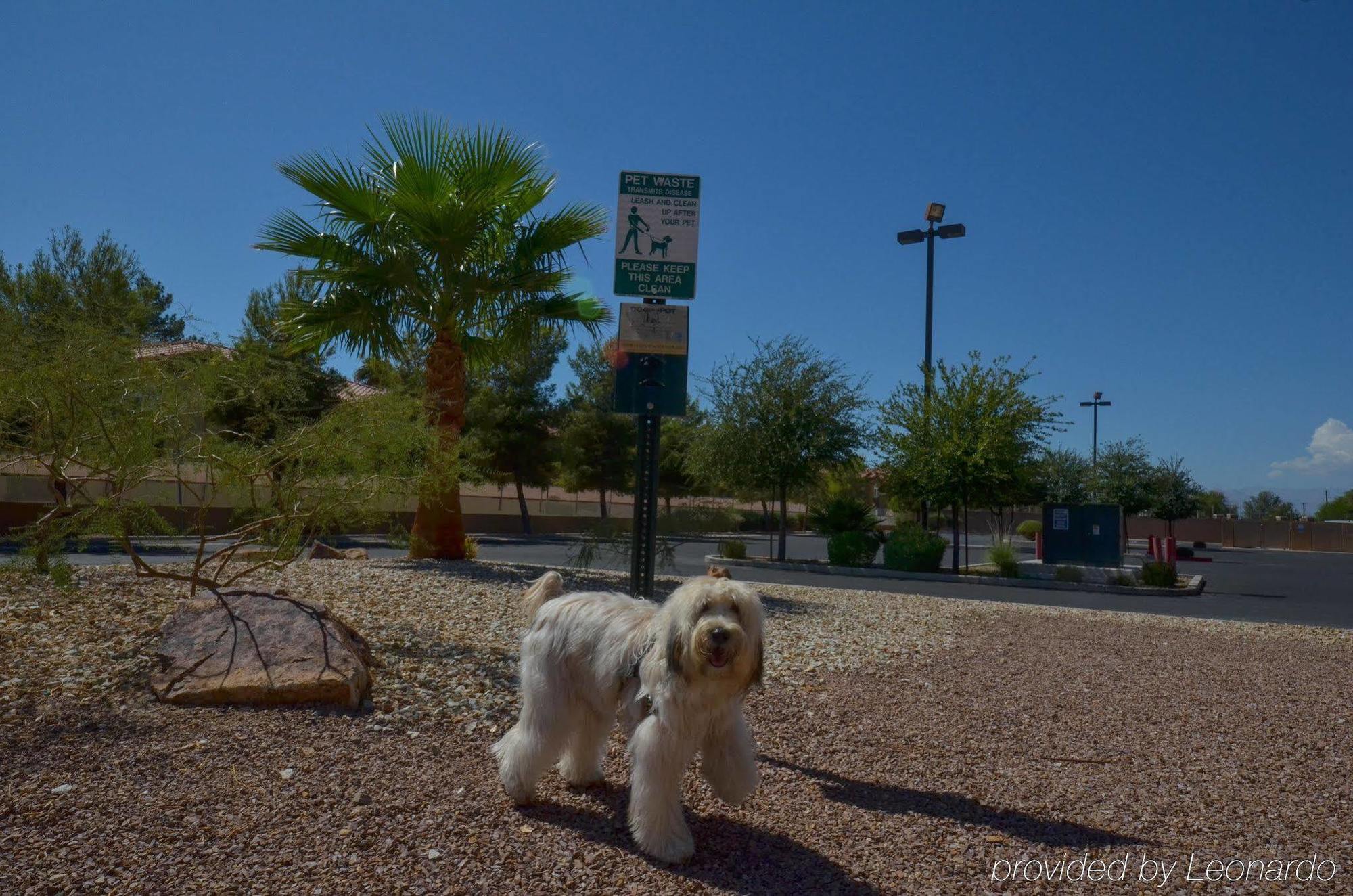 Hotel Express Vegas-nellis By Ihg