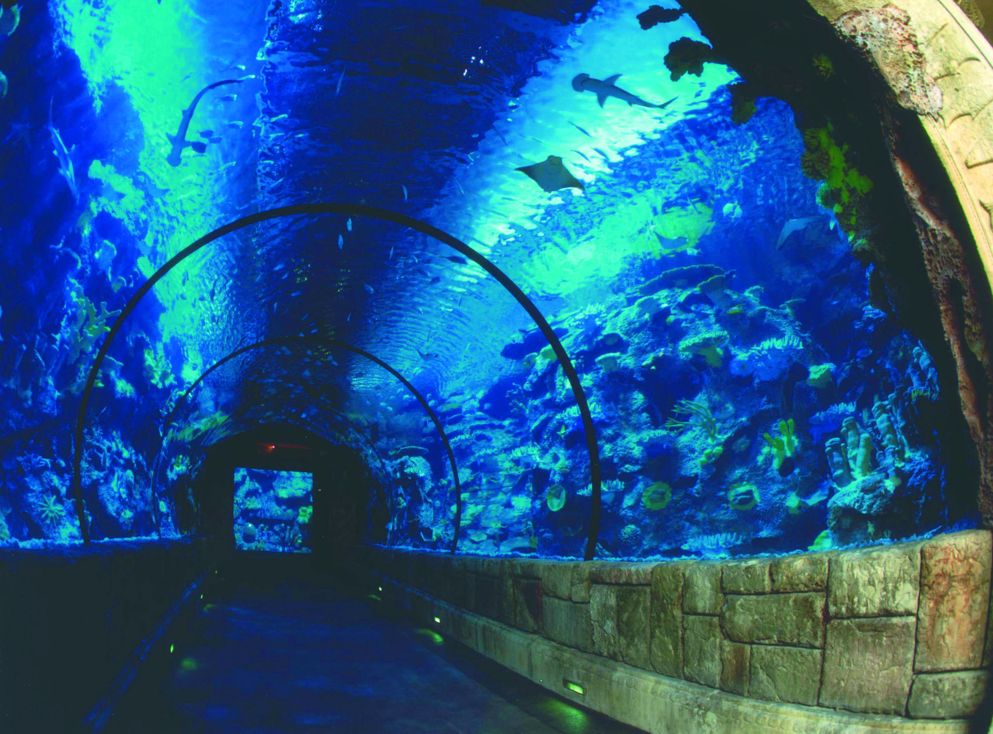 Mandalay Bay