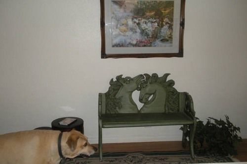 Apartment Vegas Vacation Pet Friendly *
