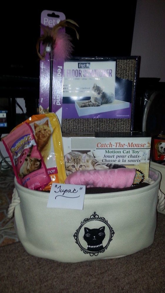 Vegas Vacation Pet Friendly * Las Vegas