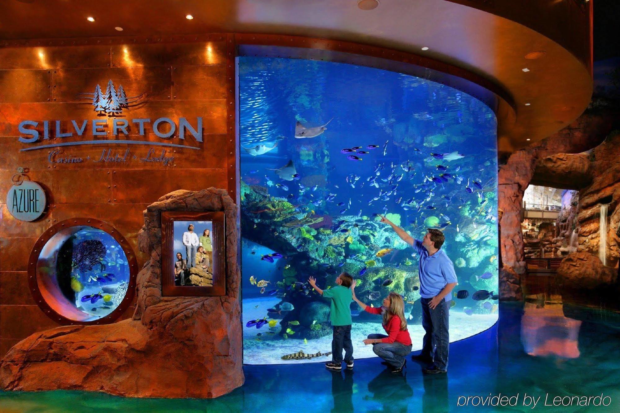 Resort Silverton Casino Las Vegas