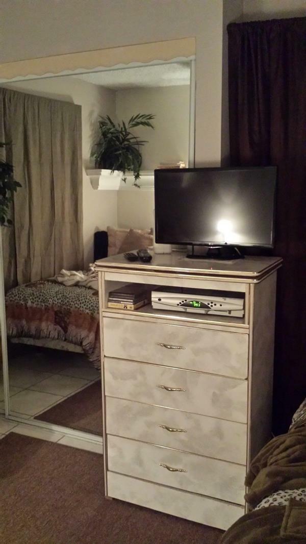 Vegas Vacation Pet Friendly Apartment *