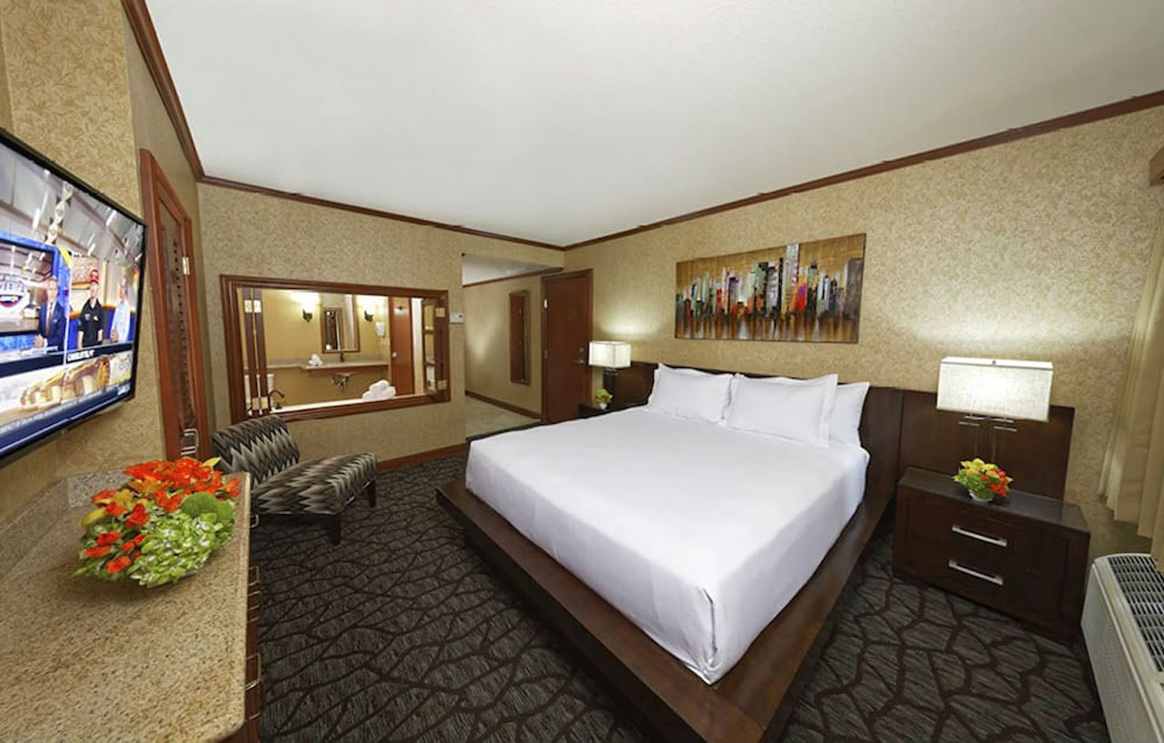 Hotel Silver Sevens & Casino 3*