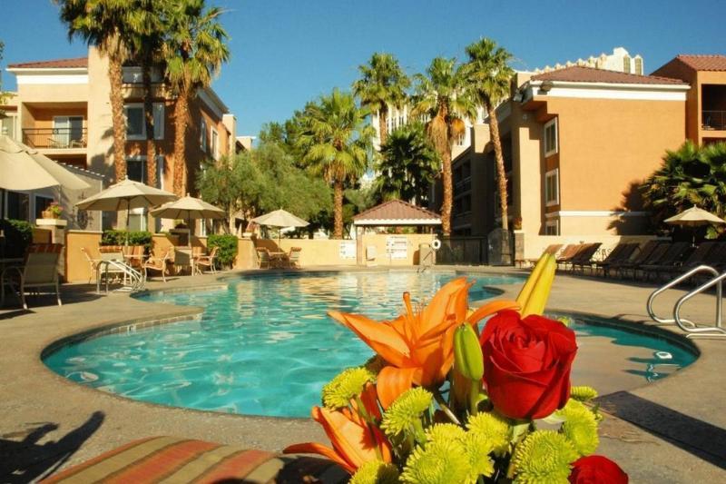 Resort Desert Rose 3*