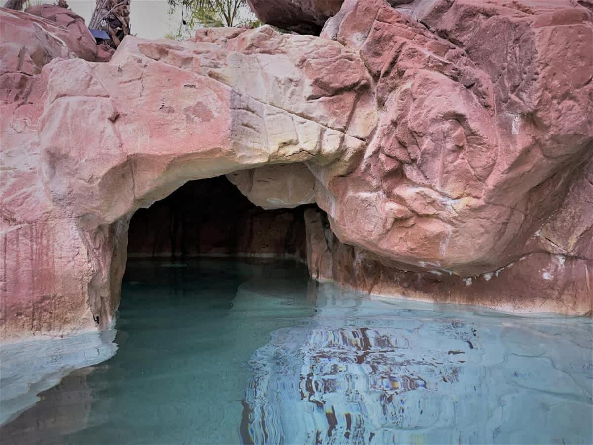 Wild Oasis With Omg Amazing Pool Modern