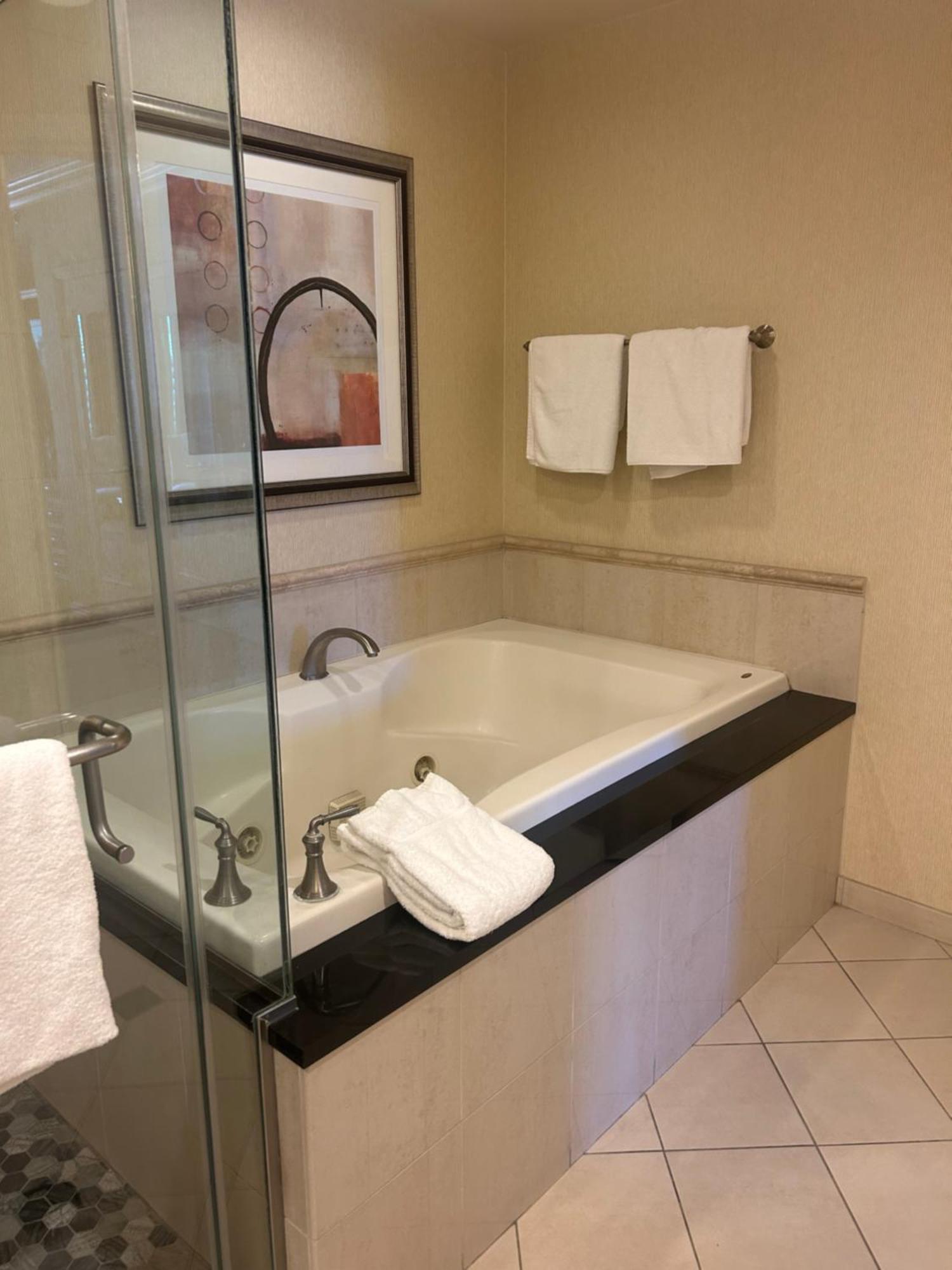 Mgm Signature Hotel Balcony ,No Resort Fee Aparthotel