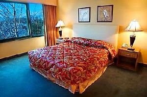 Hotel New Frontier Las Vegas