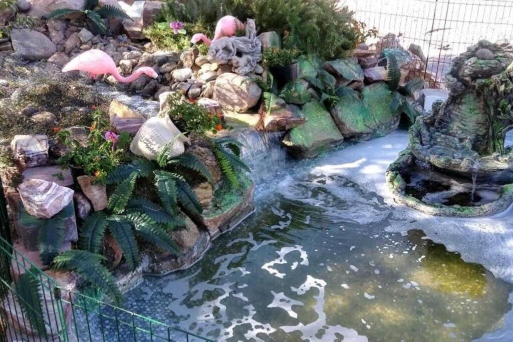 Enjoy Fruits Of Your Labours Staying At 601 Grape Drive Ferienhaus Las Vegas