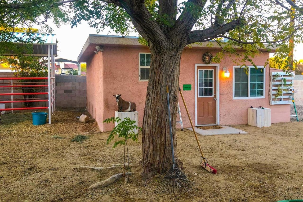 The Goat Hut 11 Mi To Vegas Strip! Apartment *